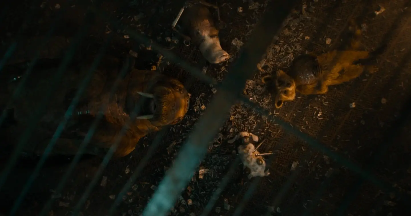 Demi mondiens imgprofil